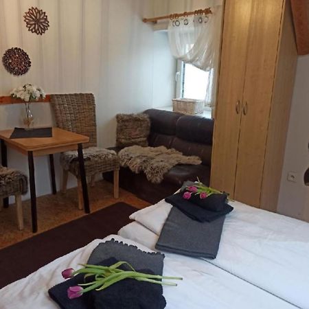 Apartmany Ziakova - Ubytovani Nove Hrady 111 Екстер'єр фото
