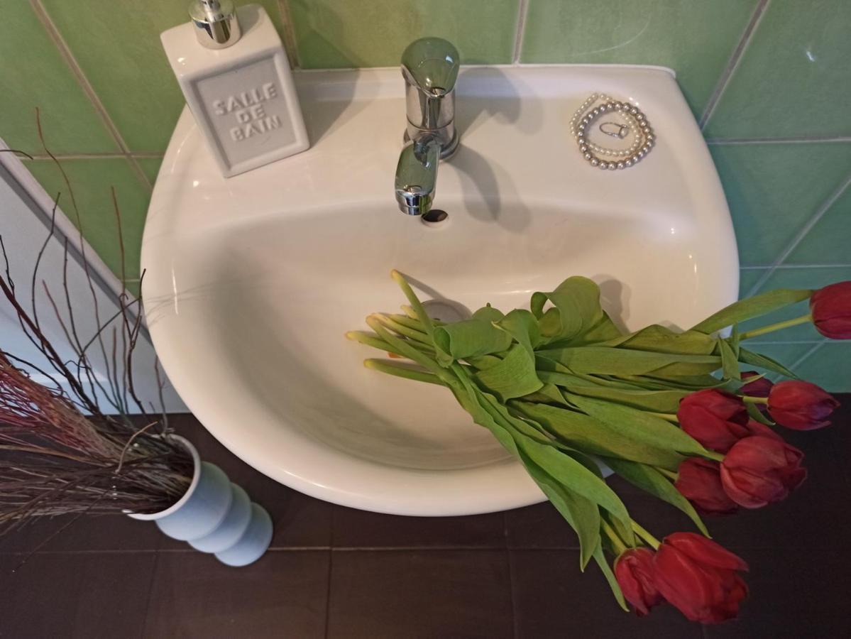 Apartmany Ziakova - Ubytovani Nove Hrady 111 Екстер'єр фото