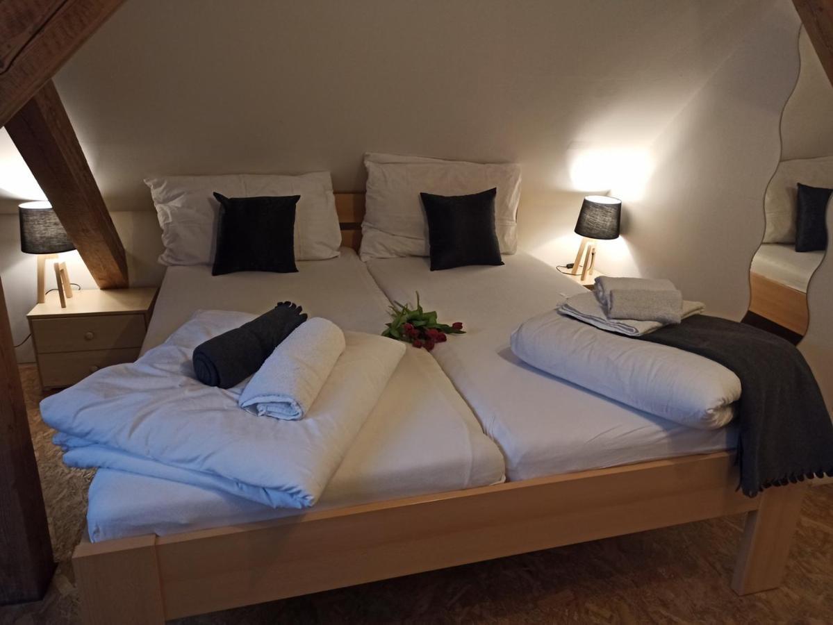 Apartmany Ziakova - Ubytovani Nove Hrady 111 Екстер'єр фото