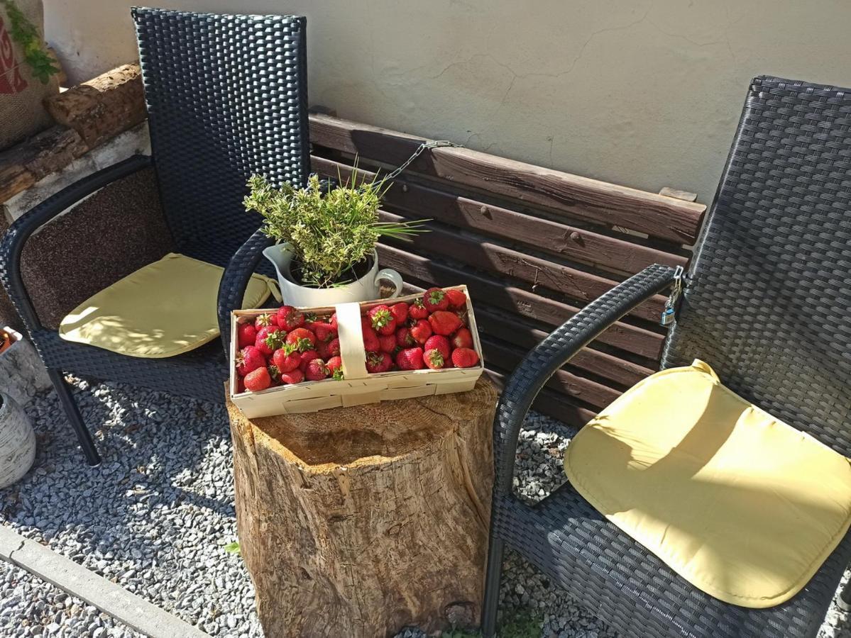 Apartmany Ziakova - Ubytovani Nove Hrady 111 Екстер'єр фото