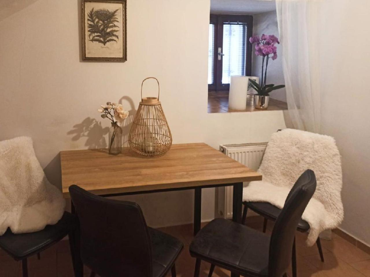 Apartmany Ziakova - Ubytovani Nove Hrady 111 Екстер'єр фото
